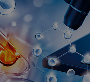 t(y)Ժϴ·ϴ섩 t(y)Ïϴ·